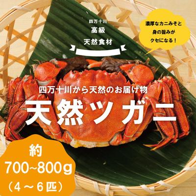 ふるさと納税 四万十市 高級天然食材!四万十川の天然ツガニ 約700g〜800g(4〜6匹) R5