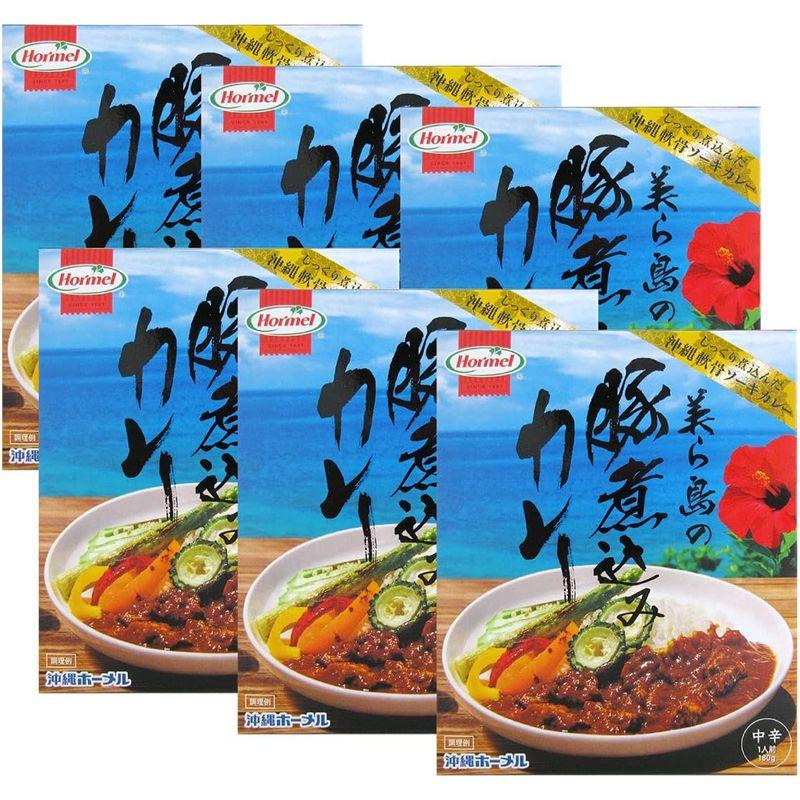 美ら島の豚煮込みカレー 中辛 1人前 180g 6個セット