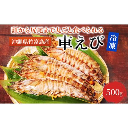 ふるさと納税 2024年 先行予約 車えび 500g 竹富島産 冷凍 エビ 沖縄県竹富町