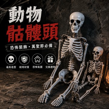 小廢物俱樂部 骷髏頭 動物骷髏頭 蝎子蝙蝠老鼠 鬼屋道具 嚇人 房間裝飾 萬聖節 生日禮物 小廢物 交換禮物 上課無聊