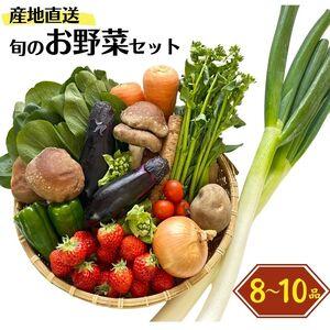 ふるさと納税 直売所からお届け！旬の野菜セット（8〜10品詰め合わせ）新鮮な野菜直送便 新潟県糸魚川市