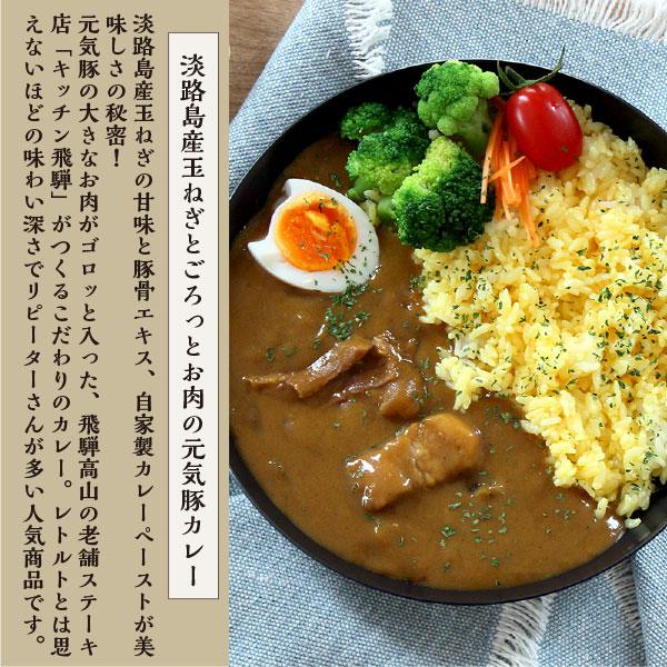 レトルト  常温保存　送料込み　「元気豚カレー2種セット　元気豚カレー200ｇ×1　＋　スパイシーキーマカレー150ｇ×1」