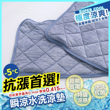 涼感枕墊 -5度C 枕頭保潔墊1入 SUPERCOOL接觸涼感[鴻宇]