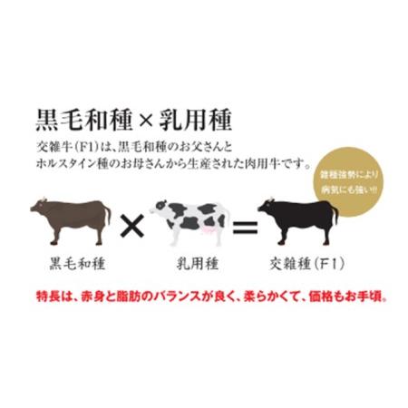 ふるさと納税 清麻呂 牛 ロース テキ肉 約540g（約180g×3枚）岡山市場発F1 牛肉 岡山県玉野市