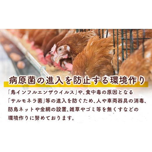 ふるさと納税 宮崎県 新富町 ＜児湯養鶏自慢の卵＞ネッカリッチ赤たまご「児湯一番」 計480個 （20個入×2箱）×12か月定期便【E19-…