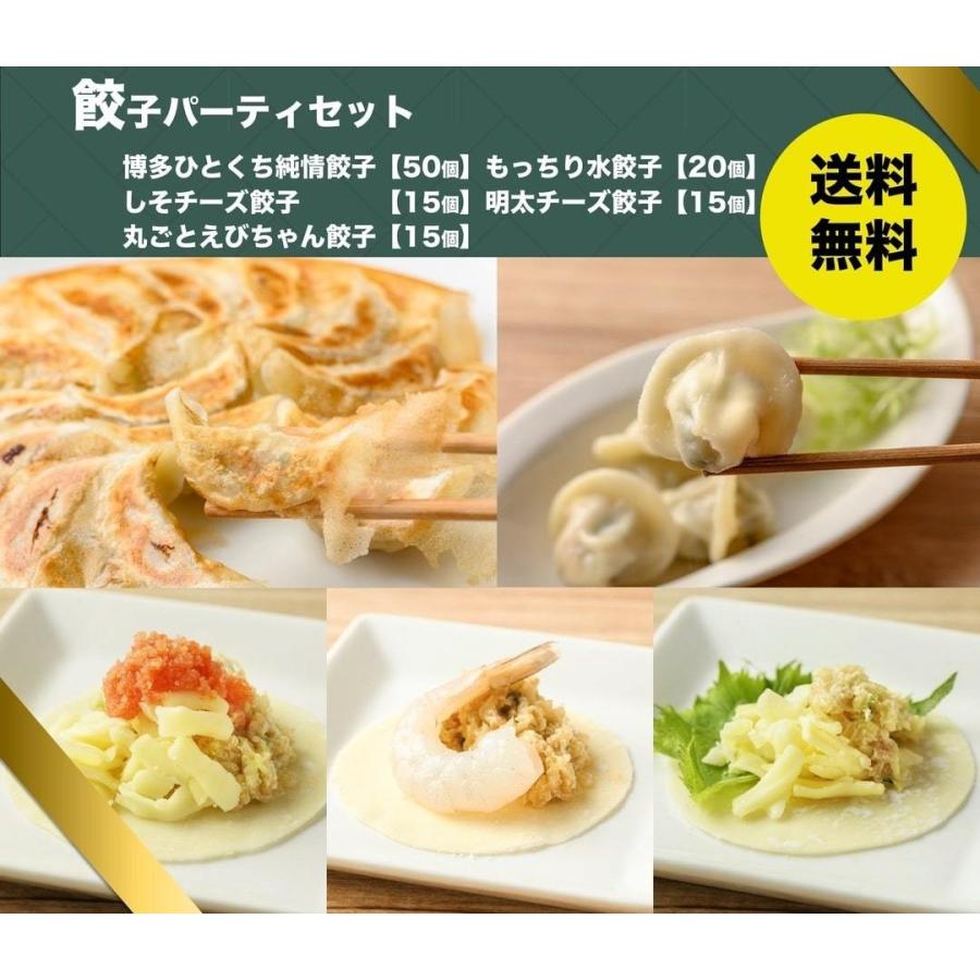 餃子パーティセット ※送料無料