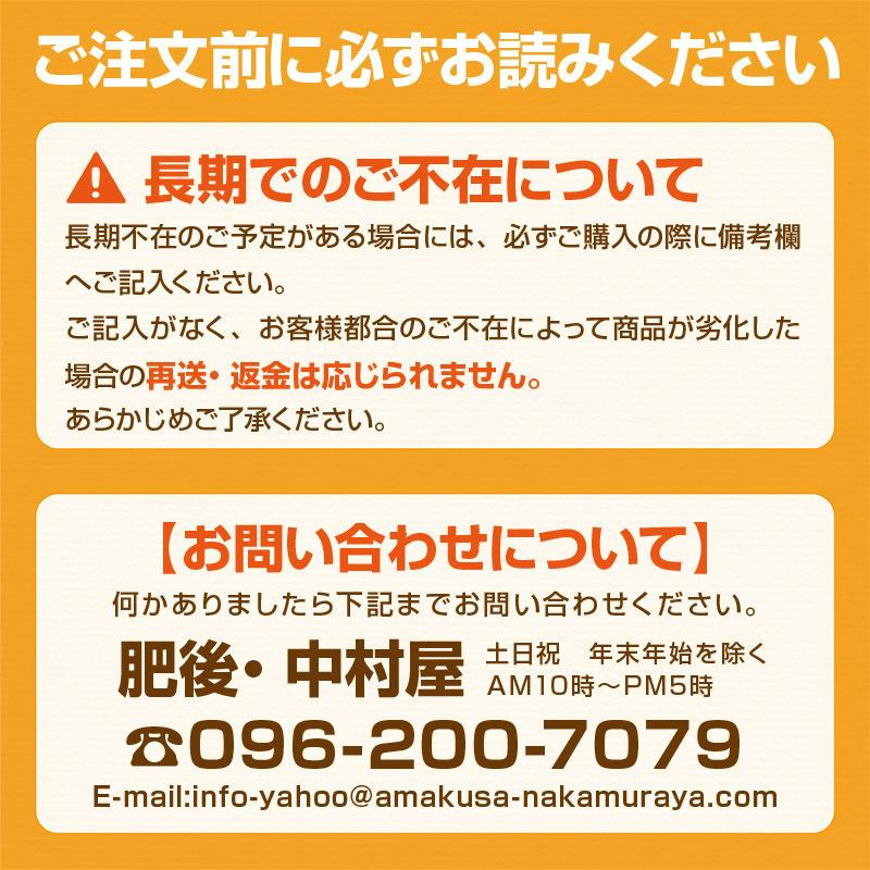 梨 新潟県産 ルレクチェ 洋梨 秀品2kg お歳暮 ギフト プレゼント 贈答 贈り物 名産 ご当地 お取り寄せ お土産 常温便