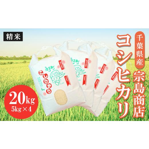 ふるさと納税 千葉県 白子町 令和5年産　千葉県産 コシヒカリ（精米）20kg（2023年9月上旬から発送） ふるさと納税 お米 20kg 千葉県産 白子町 コシヒ…