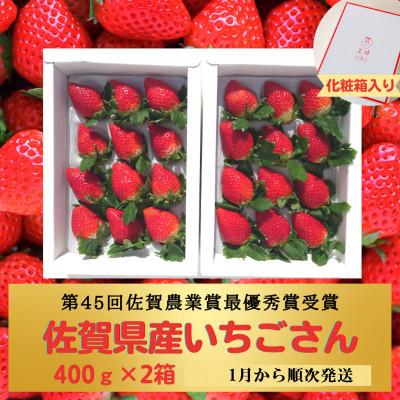 ふるさと納税 江北町 王様のいちご約400g×2箱