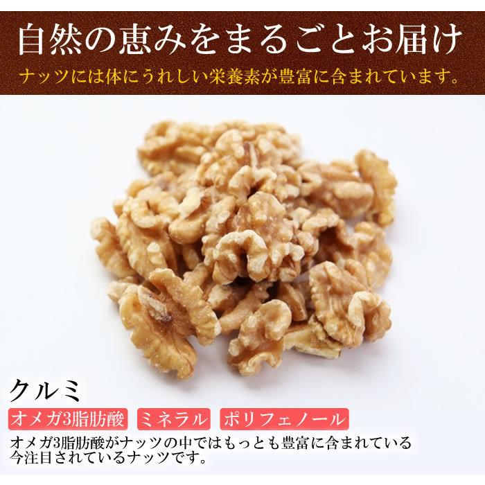 無添加 クルミ 100g 無塩 無油