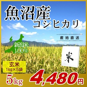 お米 5kg 玄米 魚沼産コシヒカリ (1kg×5袋) エコ梱包 令和5年産 新米   1kg小分け 米 最高級銘柄 新潟米 ブランド米 新潟 新潟県産 国内