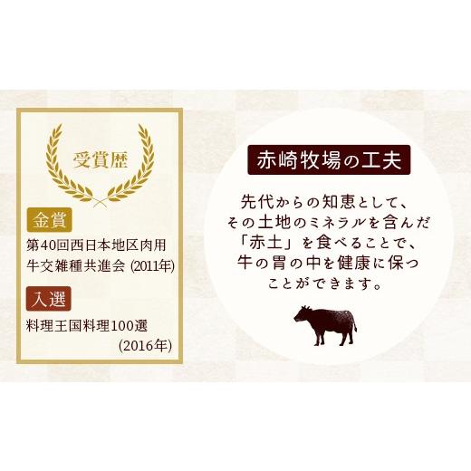 ふるさと納税 福岡県 嘉麻市 赤崎牛 牛すじ 約800g 牛肉