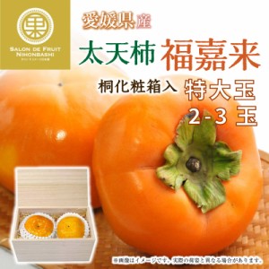 [予約 12月1日-12月20日の納品] 太天柿 福嘉来 2-3玉 桐箱 ふくがき 化粧箱 愛媛県産 甘柿 柿 冬ギフト お歳暮 御歳暮