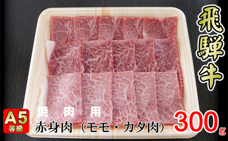 牛肉 飛騨牛 焼き肉 セット 赤身 モモ 又は カタ 300g 黒毛和牛 A5 美味しい お肉 牛 肉 和牛 焼肉 BBQ バーベキュー  