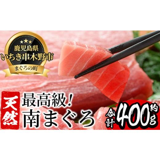 ふるさと納税 鹿児島県 いちき串木野市 B-272 海鮮まぐろ家　極上南まぐろ中トロダブル　約400g