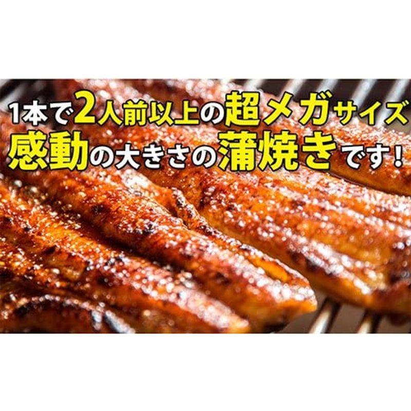 肉厚タップリ 超特大 国産うなぎ 蒲焼き 230g 1本（タレ付き 山椒別売り）川口水産