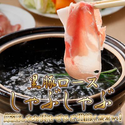 ふるさと納税 志布志市 鹿児島黒豚ロース(しゃぶしゃぶ・とんかつ)セット(2.4kg)　c0-096