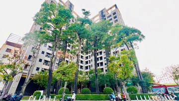 學學一中優質生活首選視野戶 歡迎預約｜台中市東區進化路