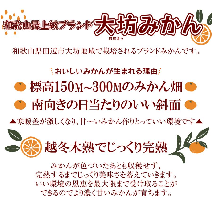 みかん 2kg 和歌山産 南紀黒潮高糖度みかん 大坊 蜜柑 温州 ギフト用 送料無料 食品