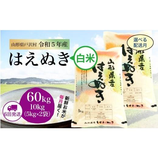 令和5年産 山形県戸沢村 厳選 はえぬき   60? 定期便（10kg×1カ月ごと6回お届け） ＜配送時期指定可＞