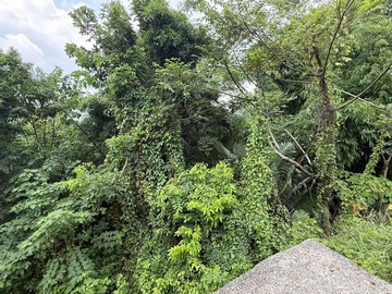 北屯/都計內農地1681坪｜台中市北屯區大昌段