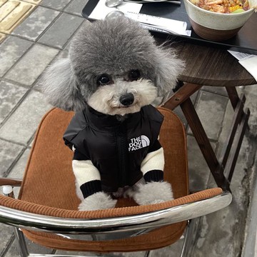 秋冬狗狗衣服寵物服裝加厚保暖羽絨服法斗柴犬柯基泰迪小狗冬裝 「寵物服飾」