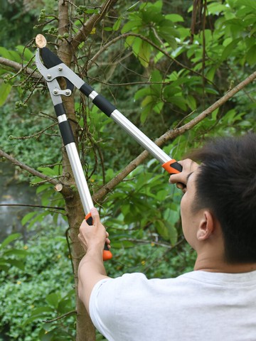 剪枝剪刀果樹修枝專用樹枝剪園林修剪神器強力修大力粗枝大枝省力