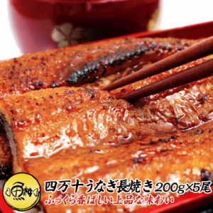 うなぎ 蒲焼き 国内産 1kg  高知県四万十産ウナギ超特大サイズ長焼き 5尾×約200g