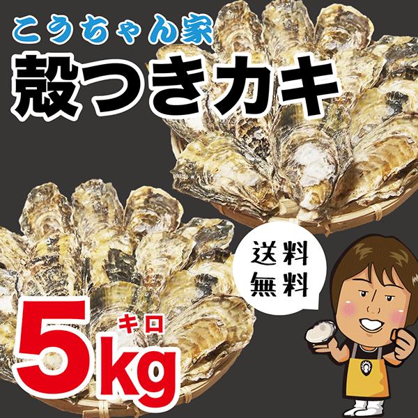 殻付牡蠣５kg　坂越産