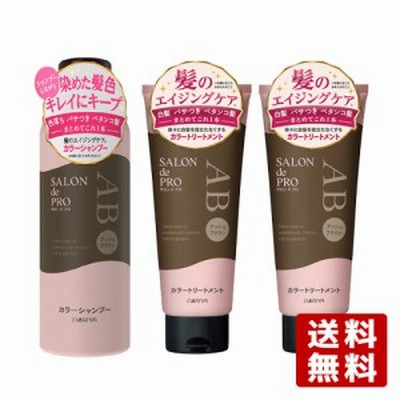 【アッシュブラウン】サロンドプロ(SALON de PRO) カラーシャンプー250ml×1個＆カラートリートメント180g×2個 ダリヤ【送料無料】