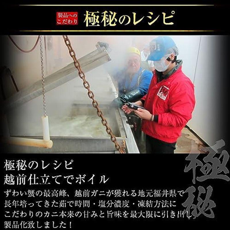 ますよね かに カニ ボイル 本ずわい蟹足 2.5kg (8?12肩入) 約6人前 蟹 ずわい蟹 ズワイガニ