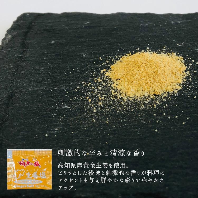 伯方の塩 生姜塩 0.5g×2000袋