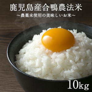 南九州産無農薬『合鴨農法米』10kg(農薬未使用栽培) 精白米 合鴨農法で宮崎、鹿児島の山奥で栽培された農薬未使用 白米【令