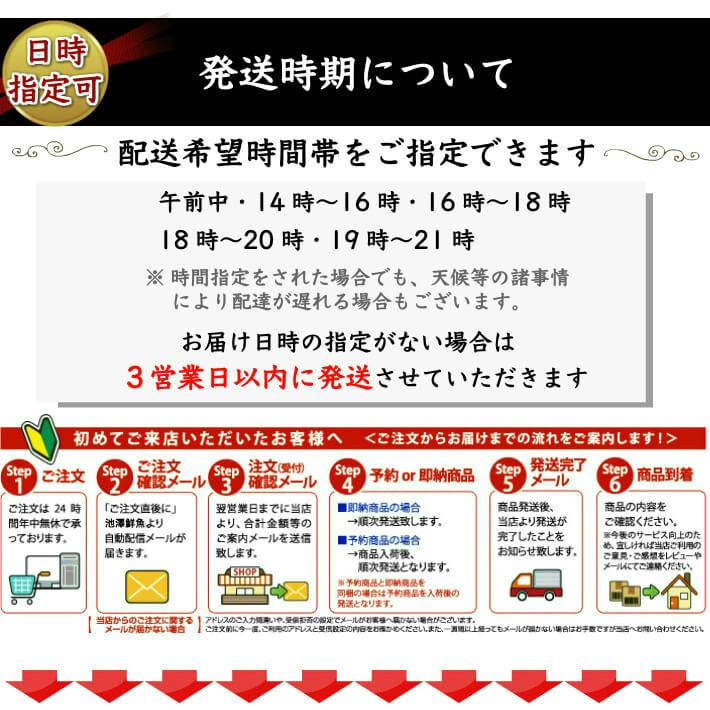 ギフト 風呂敷包み  国産 特大うなぎ 上紅白 蒲焼き 白焼き 各1本とハーフ各1枚セット