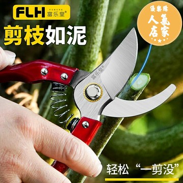 修枝剪（小） 修枝剪刀果樹枝修花剪刀盆景園藝工具修剪花木強力花藝剪打枝剪