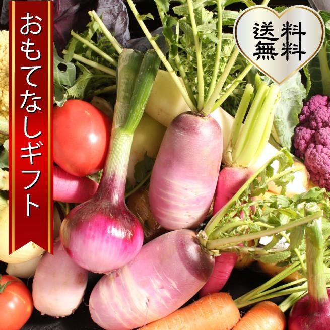 三浦野菜セット　三浦半島の畑で作られた野菜の１２種セット　2〜3人用　おもてなしギフト