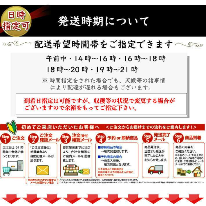 ＼2月中旬発送予約／ 無農薬 土佐文旦 有機肥料 家庭用 3kg 高知県産 2L-L 混合 糖度13度