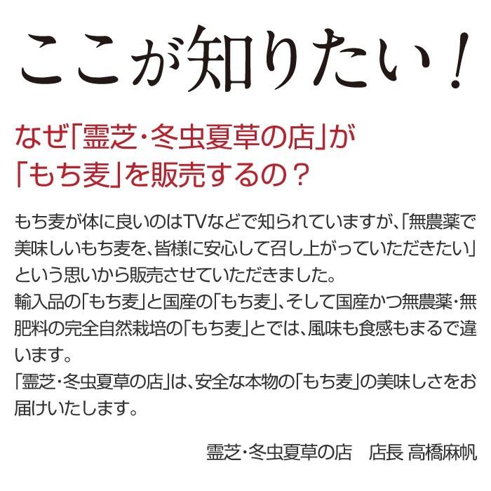 もち麦 もちむぎ 300g 無農薬 無肥料 自然栽培 ダイシモチ 宮崎県産 食物繊維