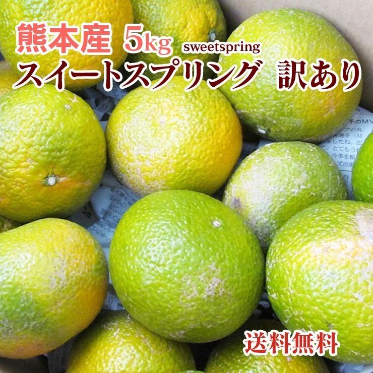 スイートスプリング 熊本産 訳あり ５kg  送料無料   九州 熊本 みかん オレンジ 甘い スイート スプリング