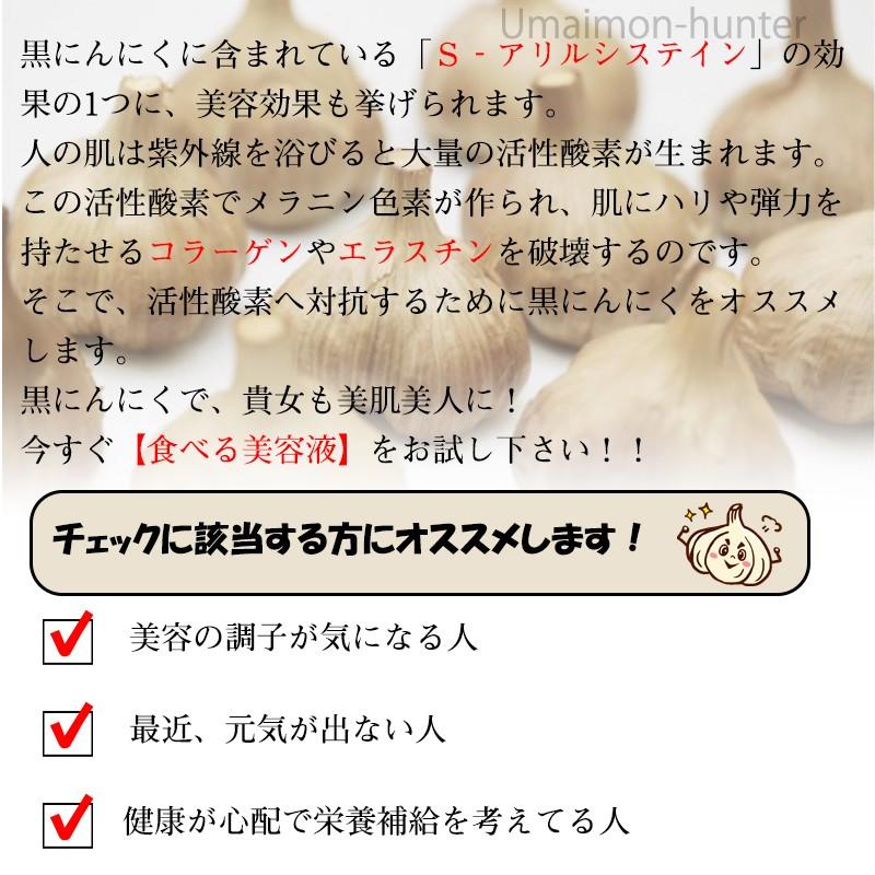 なでしこの自己発酵 生・黒にんにく 3玉入り なでしこの自然食品 大阪 人気 臭わない 発酵自然食品 ポリフェノール アミノ酸 無添加