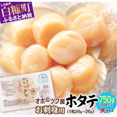 ふるさと納税 ホタテ 白糠町 オホーツク産 刺身用ホタテ玉冷大  750g(250g×3) 大サイズ