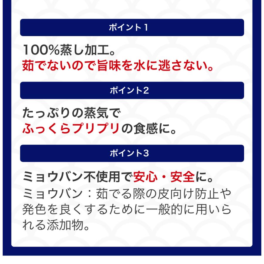 蒸したこ 惣菜2種セット おつまみセット たこ いか 魚介類セット