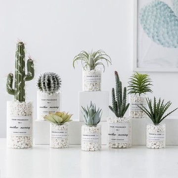 北歐盆栽仿真植物仙人掌假多肉綠植客廳室內裝飾假花創意擺件裝飾