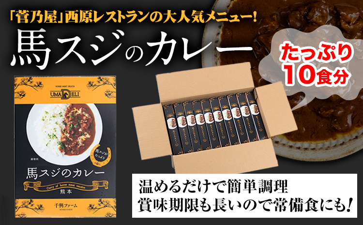 たっぷり！馬スジカレー 10食セット《60日以内に順次出荷(土日祝除く)》馬スジ カレー お肉 馬すじ カレーライス 馬肉 贈答 ギフト グルメ お取り寄せ 熊本県 南阿蘇村 送料無料 個包装 大人気 簡単調理 千興ファーム---sms_fbsjikr_60d_23_14500_10set---