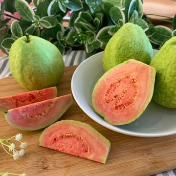 紅心補好心情【永齡選物】台灣之光 ! 國際級紅心芭樂 1.5kg/盒 (約5入) 夏日水果 消暑 茄紅素 營養