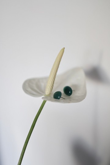 雪松瑪瑙耳環　可改耳夾