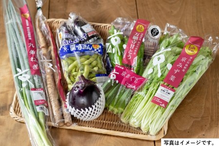 季節の京野菜セット