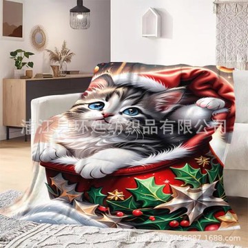 VHM7工廠外貿創意法蘭絨毛毯a類數碼印花毛毯圓形圣誕午休毯萬圣