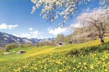 【拼圖貓】HC - 世界風情-春之頌 瑞士風光 台灣製 1000片夜光拼圖 1000Y-008