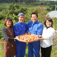 3ヵ月連続お届け　卵の黄身が掴めるほどの新鮮さ　美ら卵養鶏場の卵　各月80個